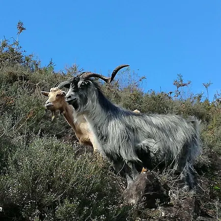 Casinha Do Joao No Geres Nyaraló Alamela