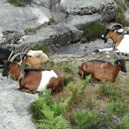 Vakantiehuis Casinha Do Joao No Geres