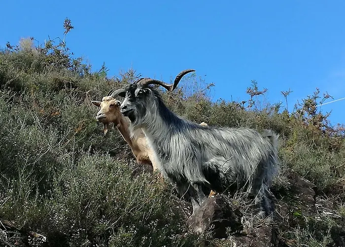 Casinha Do Joao No Geres Nyaraló Alamela